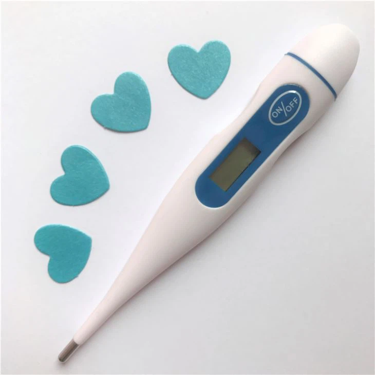 Electronic Thermometer