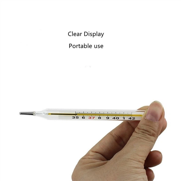 Mercury Thermometer For Sale